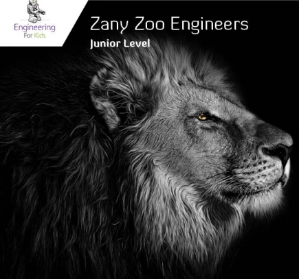 Zany Zoo Engineers